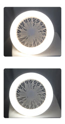 O Rotatable 3-in-1 Ceiling Fan é um ventilador de teto multifuncional que combina iluminação e controle remoto. Ele usa uma base de lâmpada E27, o que significa que pode ser instalado como uma lâmpada comum.