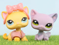 Mini 2pcs Lot Pet Shop Dogs and Cats Collectable With Accessories Best Gift For Kids Toy